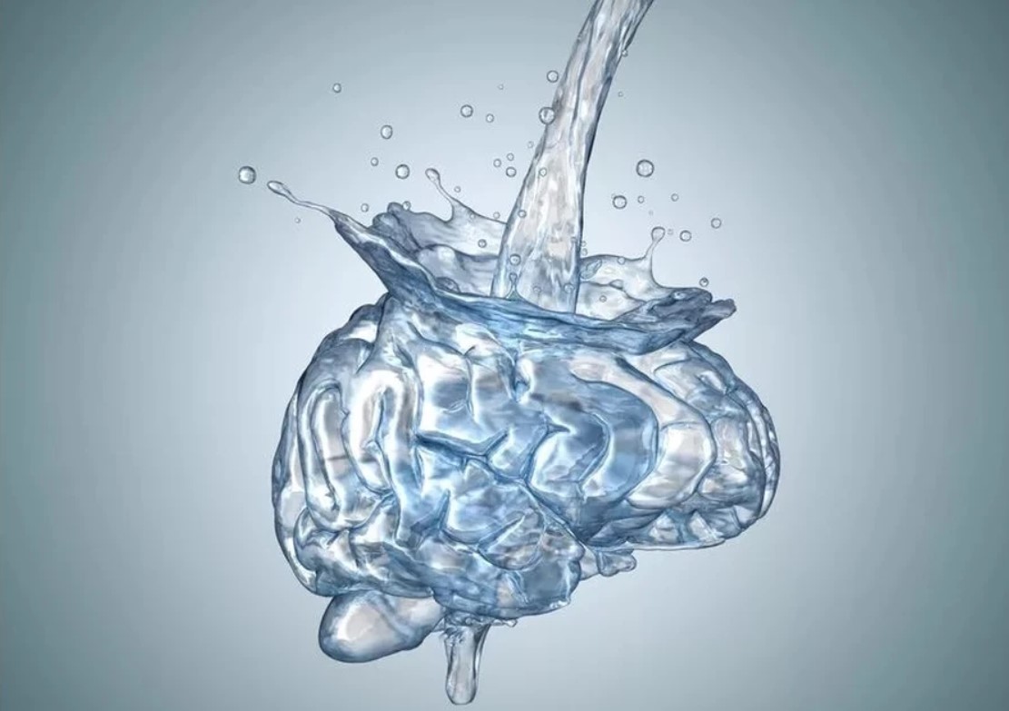 Hidrasi yang Tepat untuk Otak dan Fokus